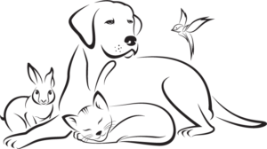Tuggerah Veterinary Clinic - Animal Illustration